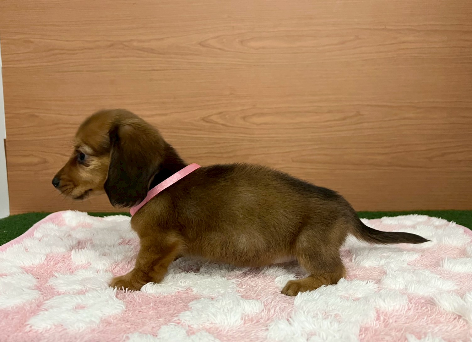 赤ちゃん写真3-2