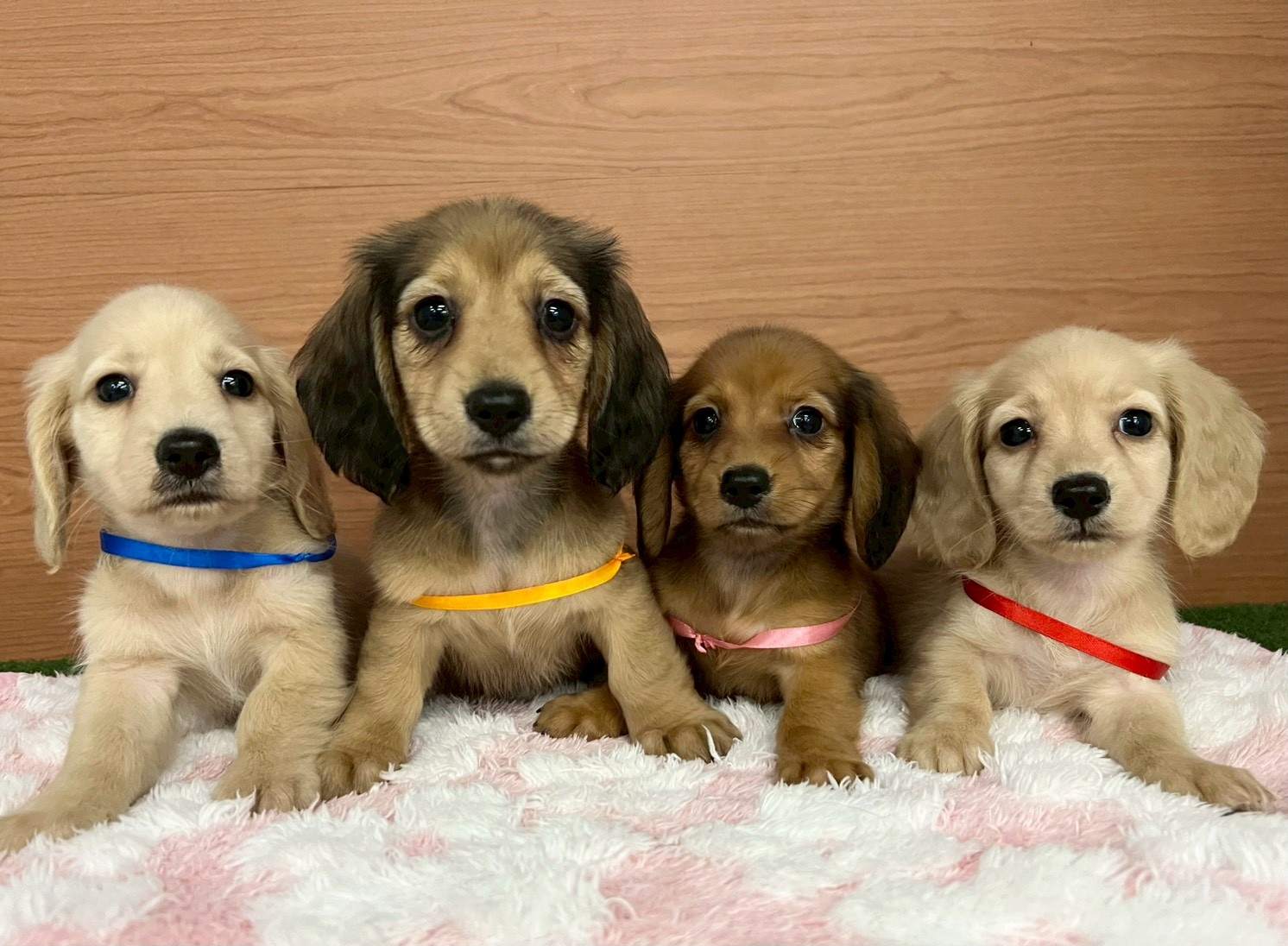 赤ちゃん写真3-3