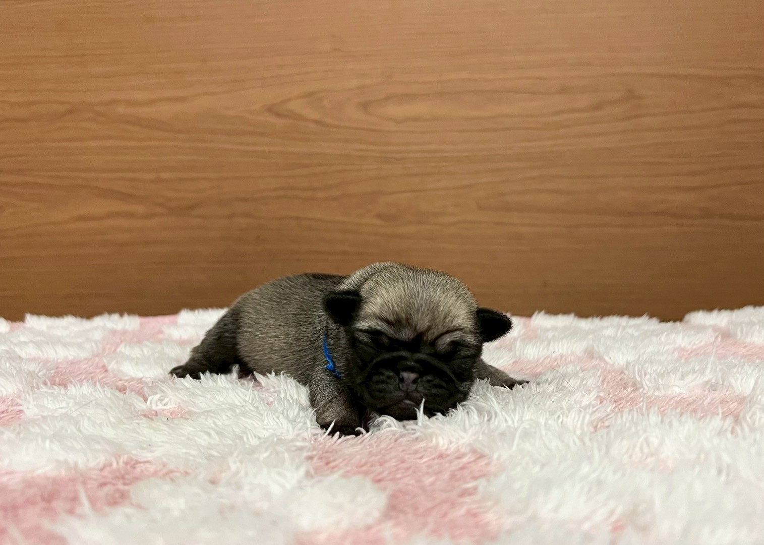 赤ちゃん写真1-1