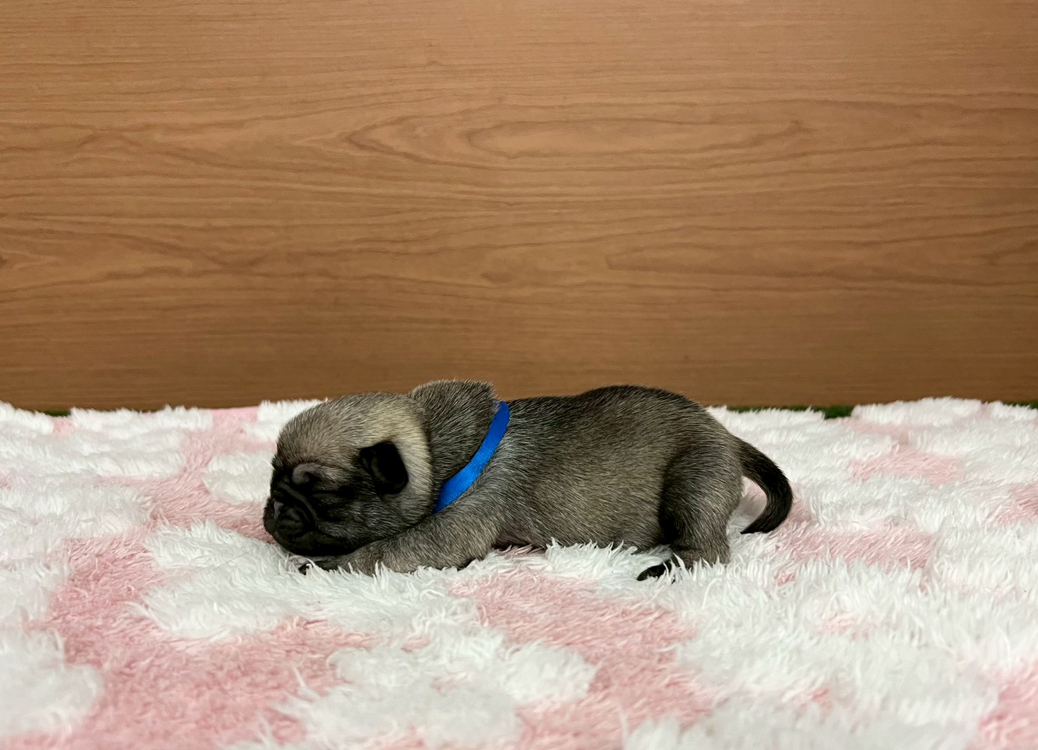 赤ちゃん写真1-2