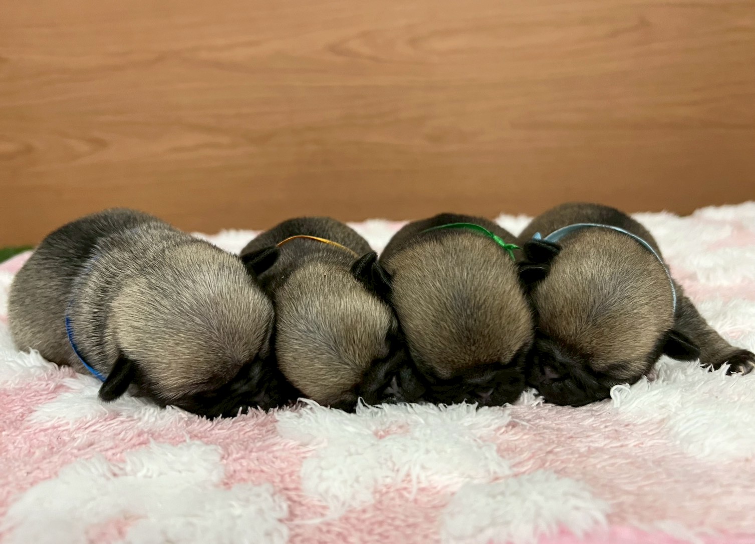 赤ちゃん写真1-3