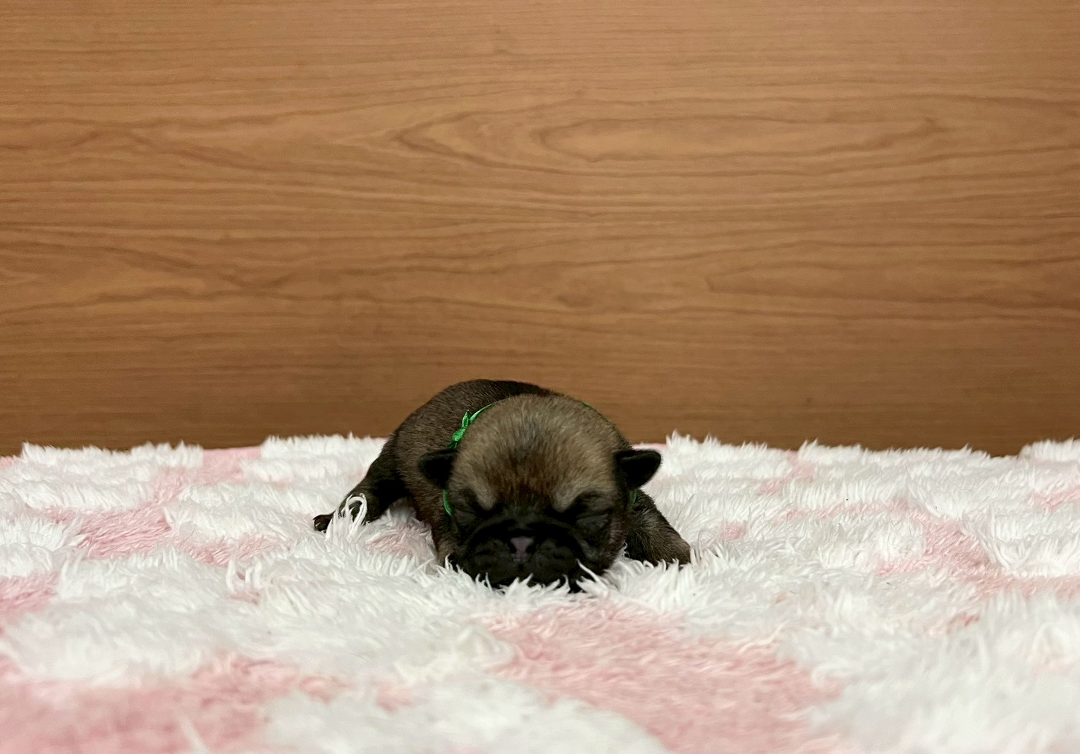 赤ちゃん写真1-1