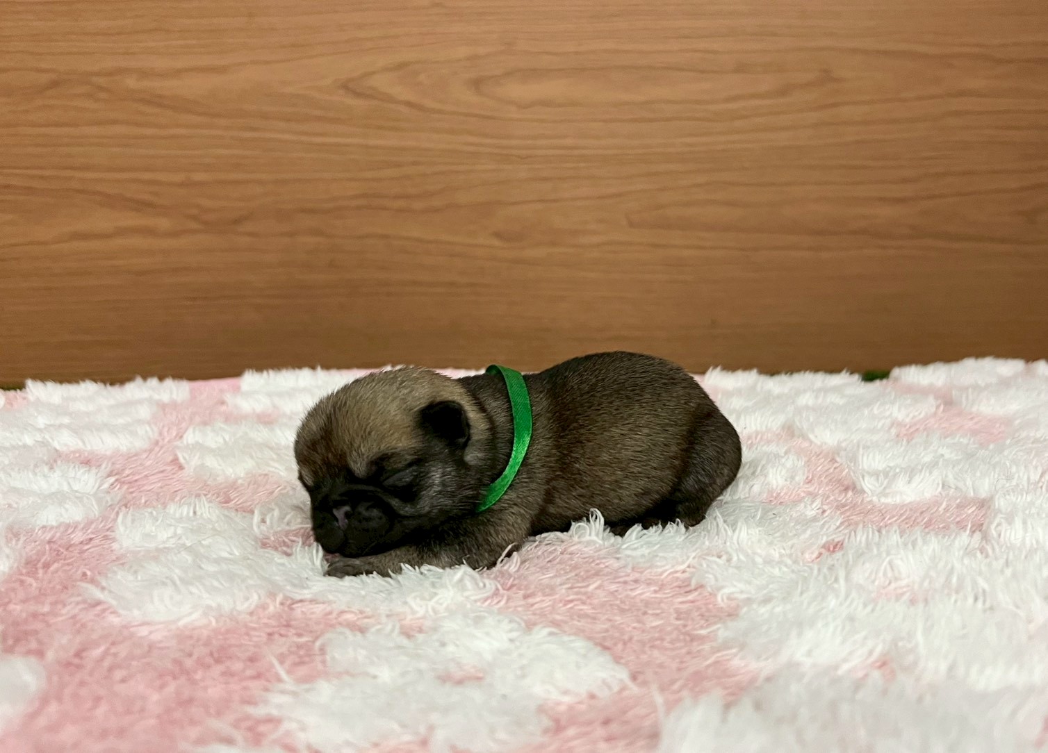 赤ちゃん写真1-2