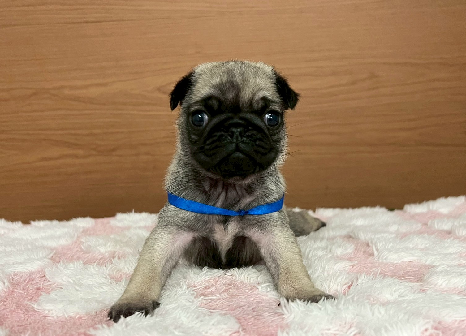 赤ちゃん写真2-1