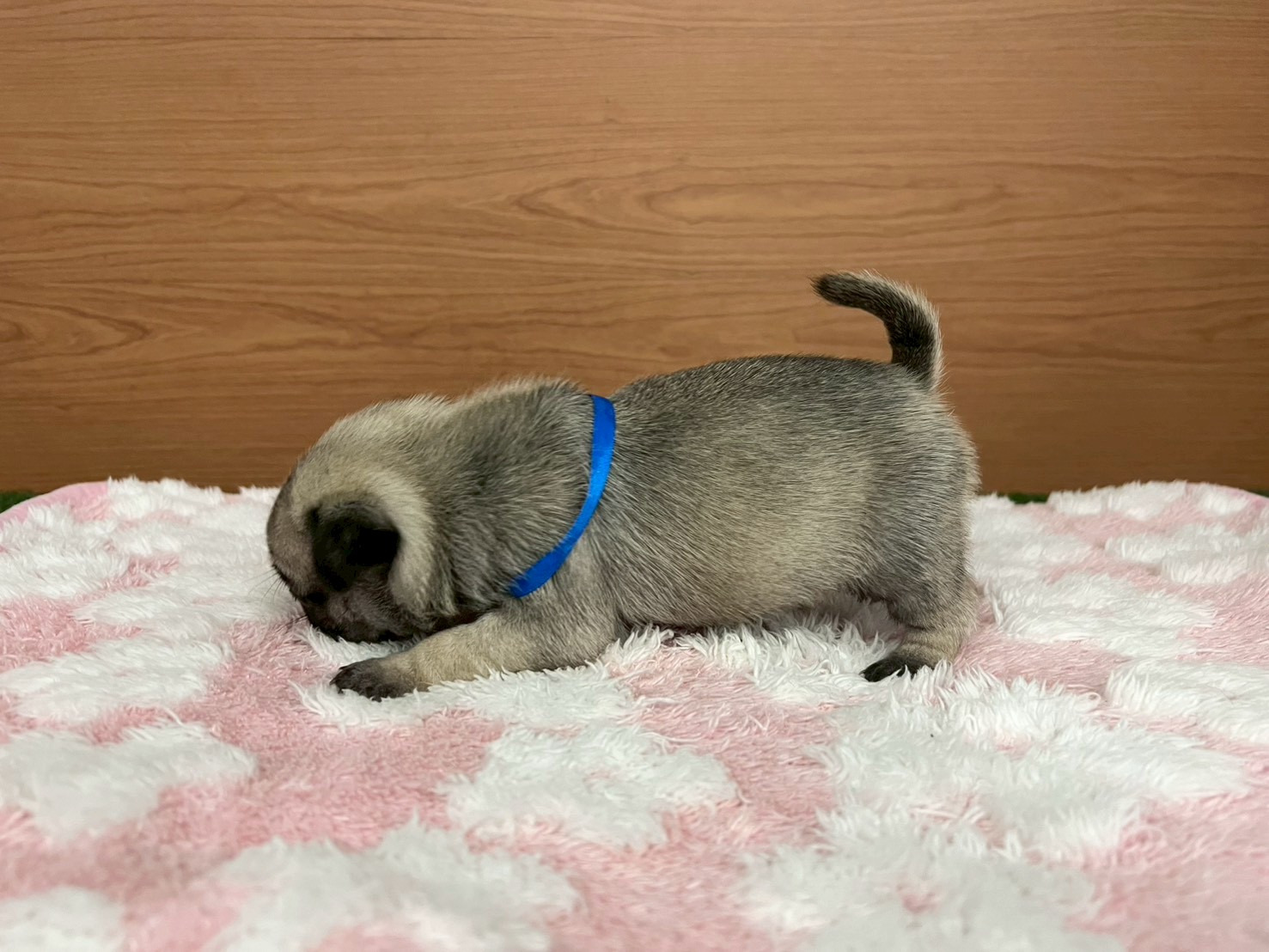 赤ちゃん写真2-2