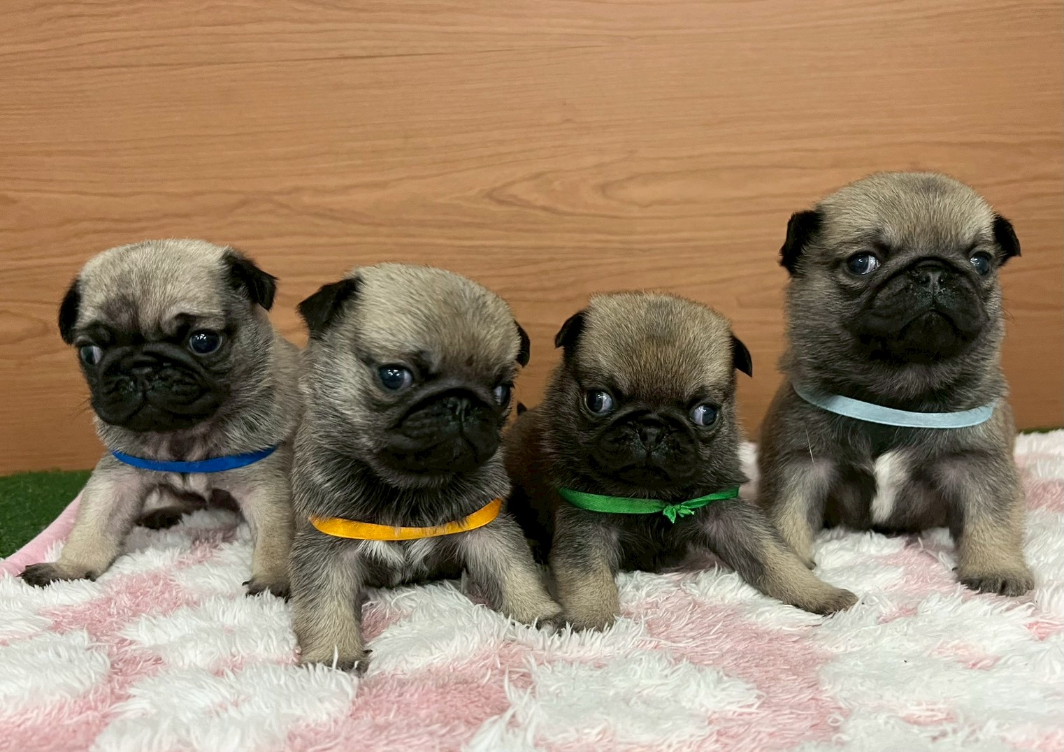 赤ちゃん写真2-3