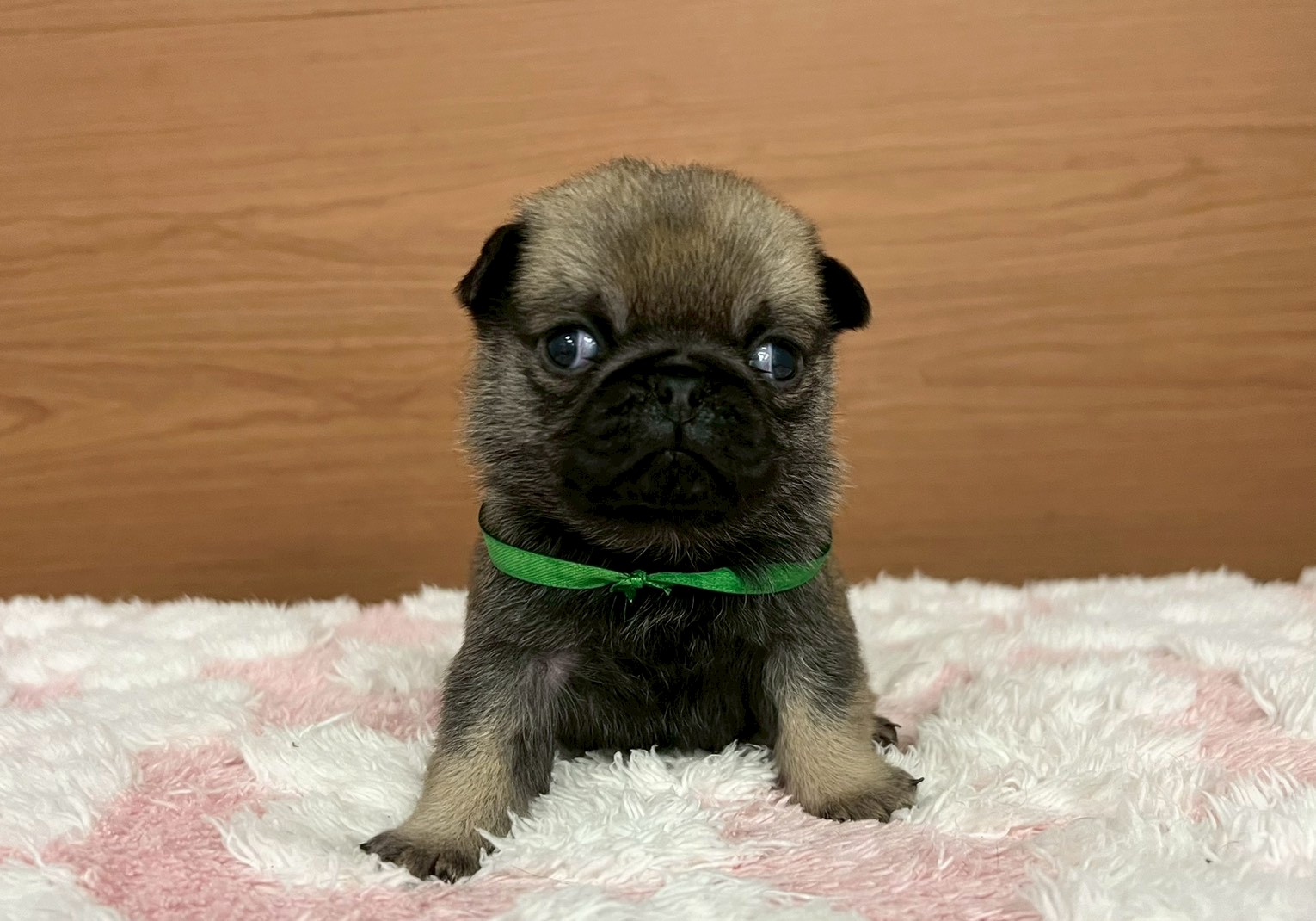 赤ちゃん写真2-1