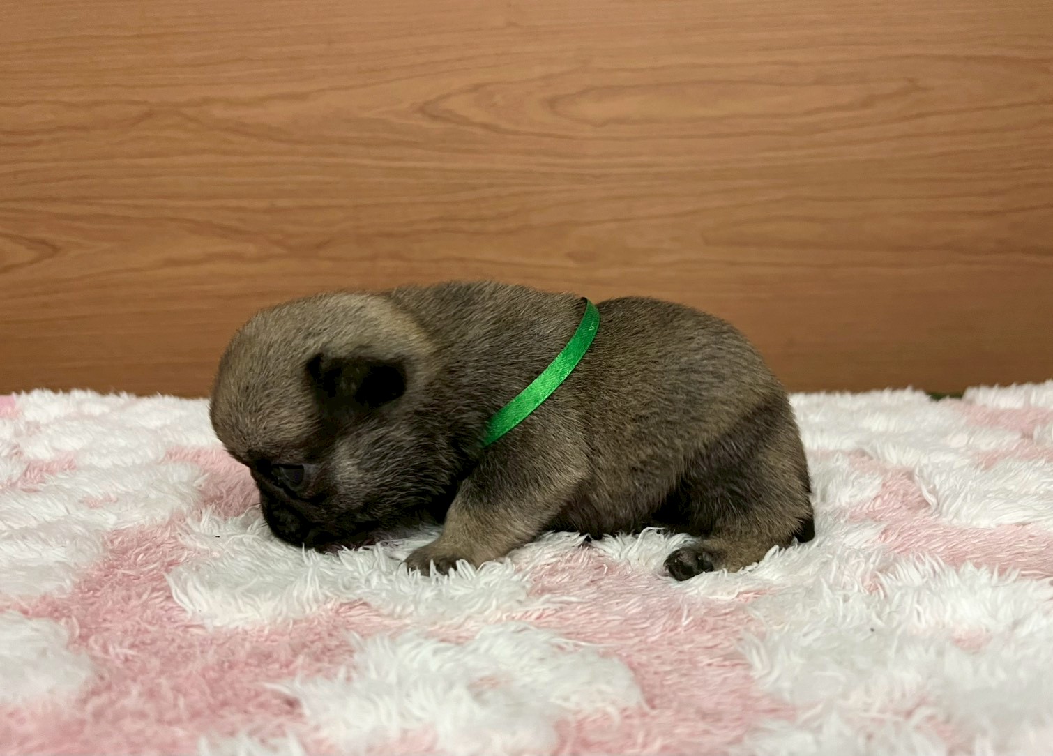 赤ちゃん写真2-2