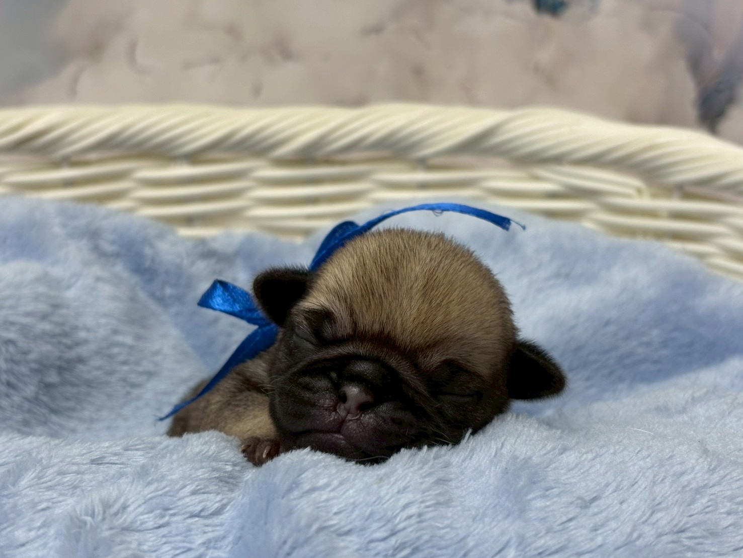 赤ちゃん写真1-1