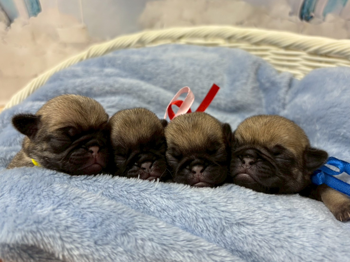 赤ちゃん写真1-3
