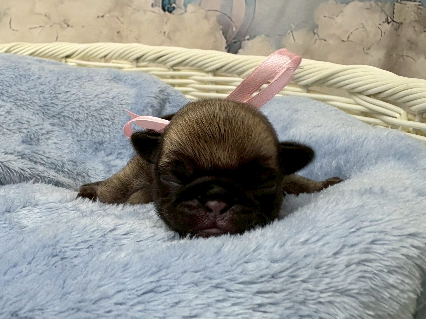 赤ちゃん写真1-1