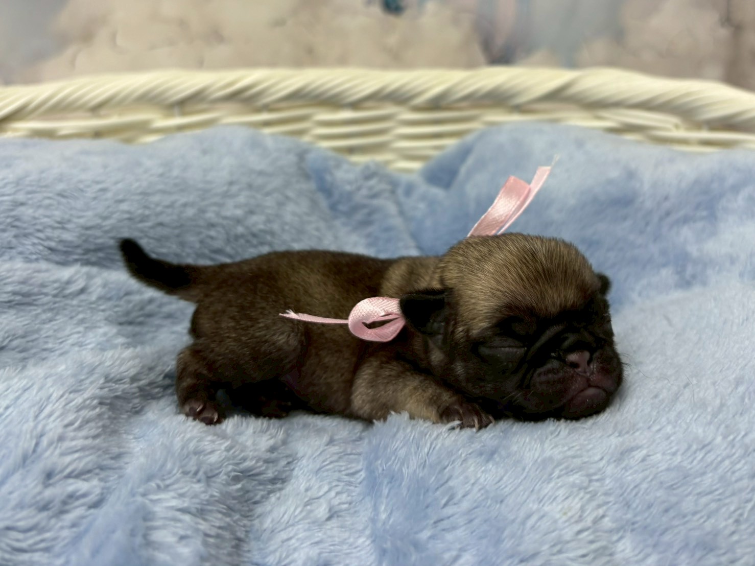 赤ちゃん写真1-2