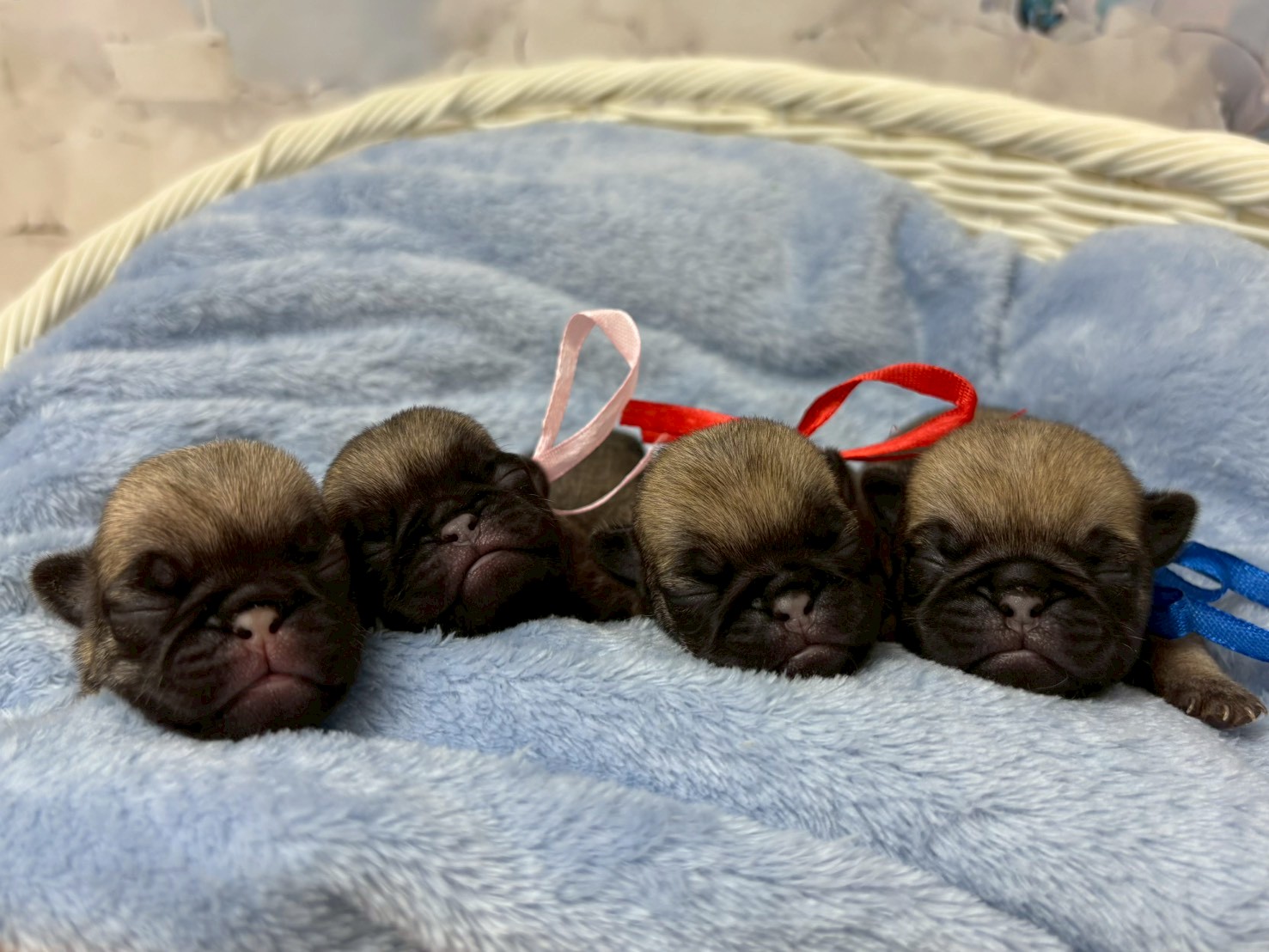 赤ちゃん写真1-3