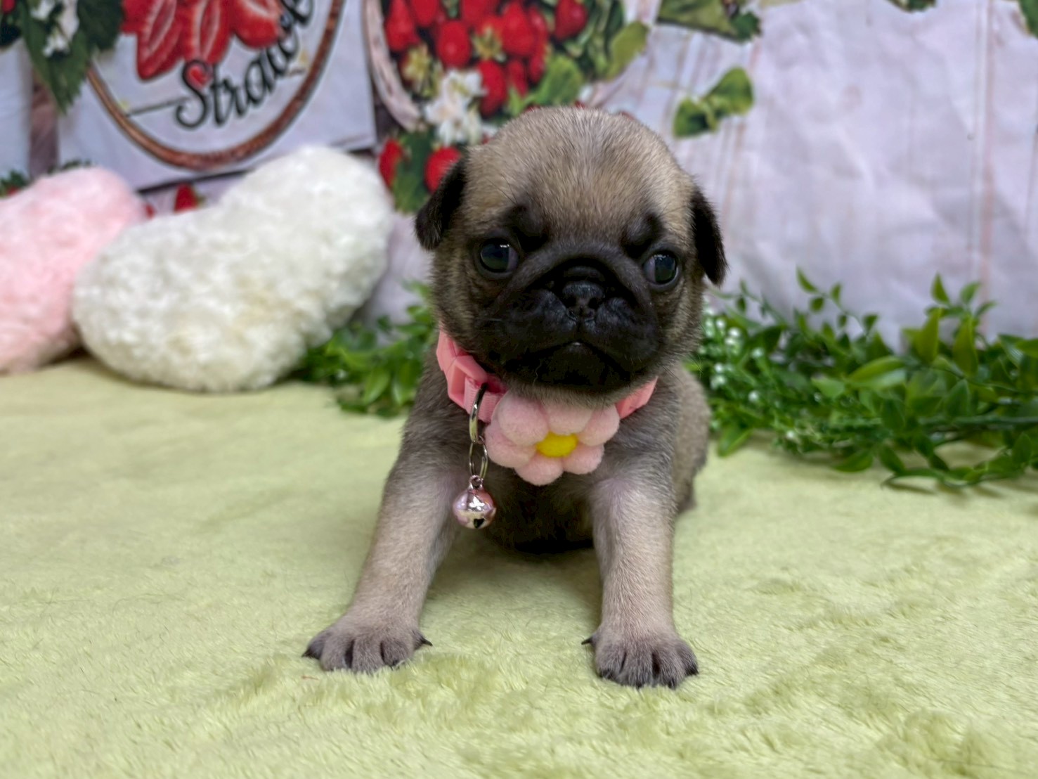 赤ちゃん写真2-1