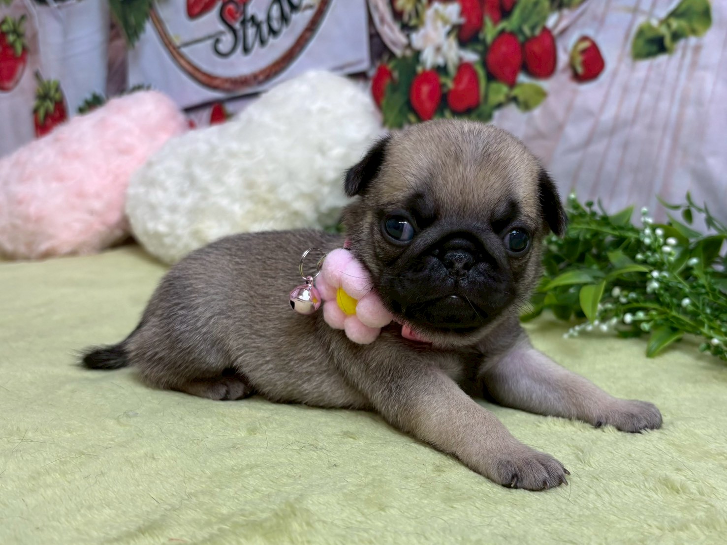 赤ちゃん写真2-2