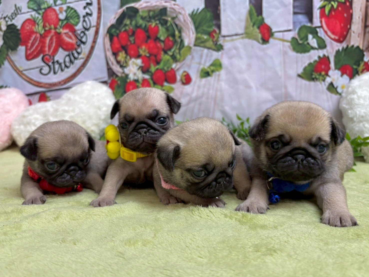 赤ちゃん写真2-3