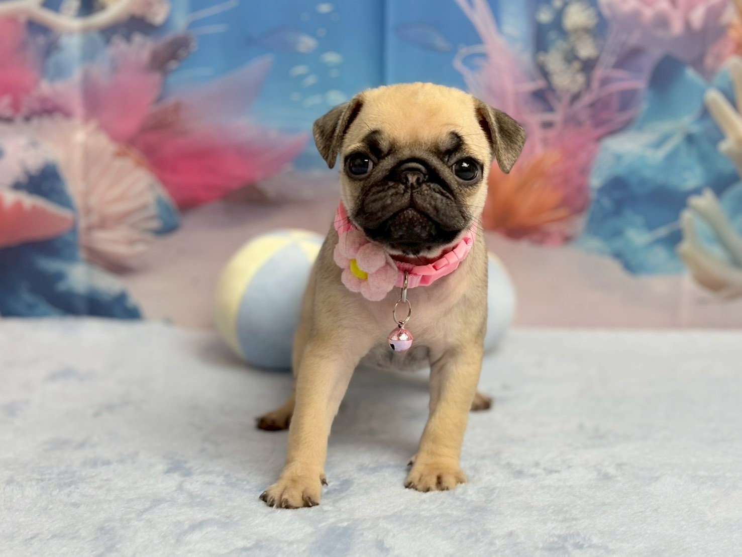 赤ちゃん写真3-1