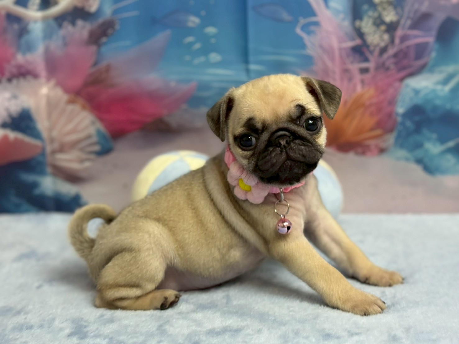 赤ちゃん写真3-2