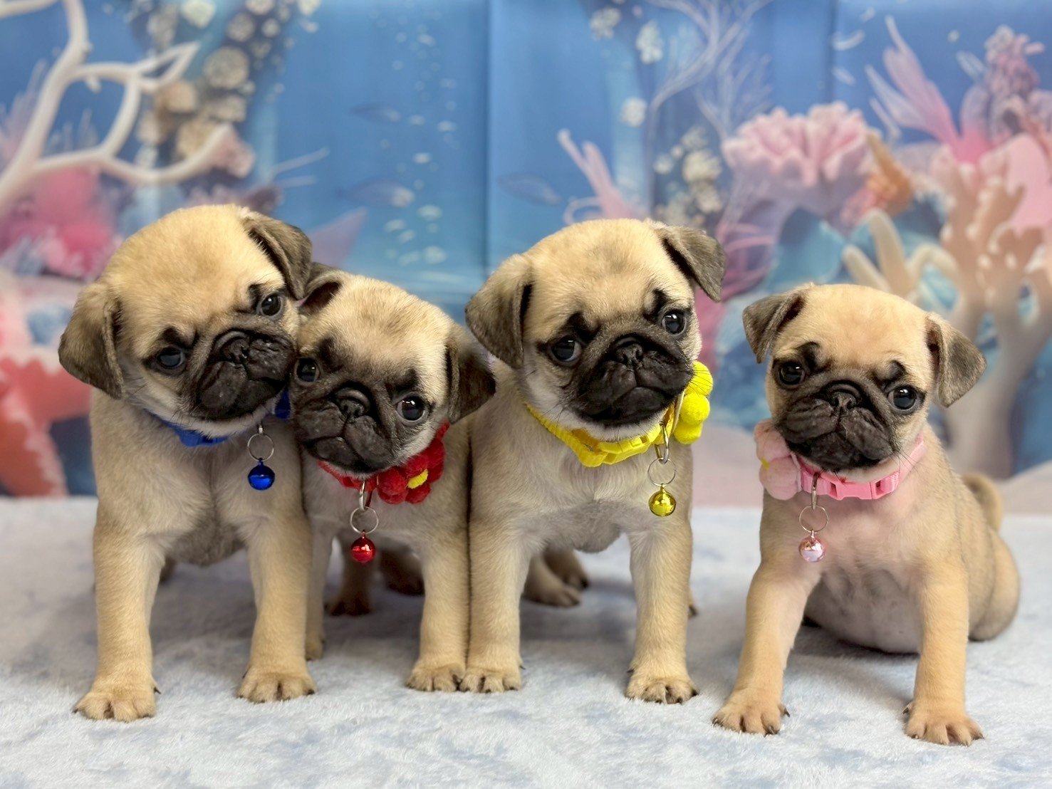 赤ちゃん写真3-3