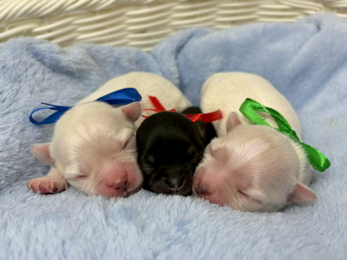 赤ちゃん写真1-3