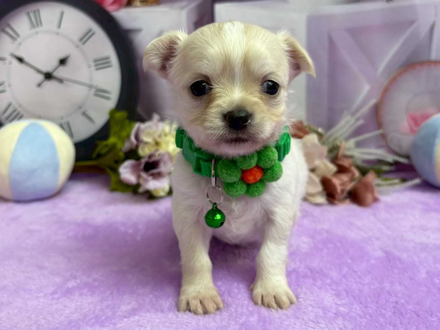 赤ちゃん写真2-1