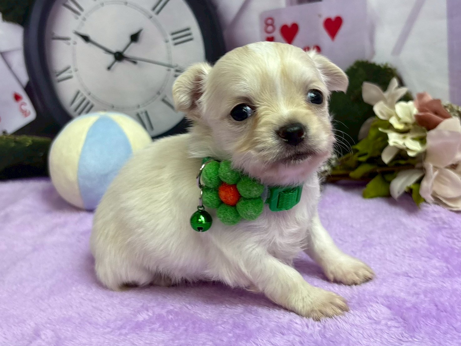 赤ちゃん写真2-2