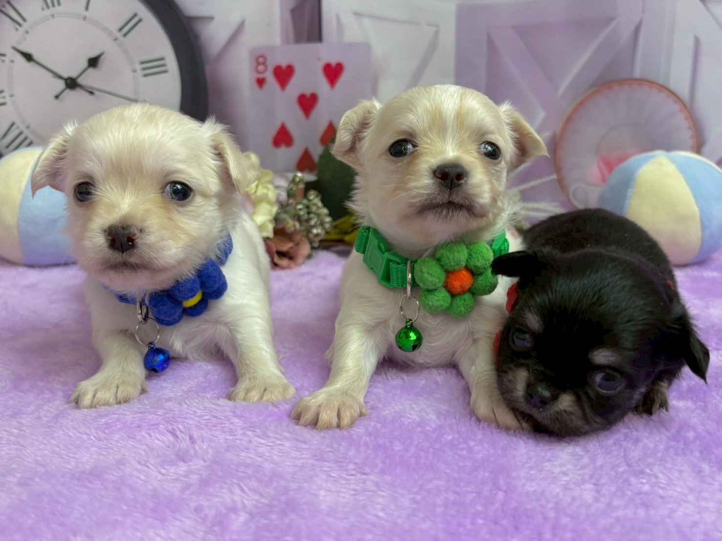 赤ちゃん写真2-3