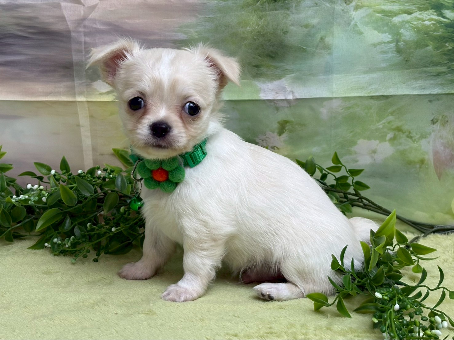 赤ちゃん写真3-2