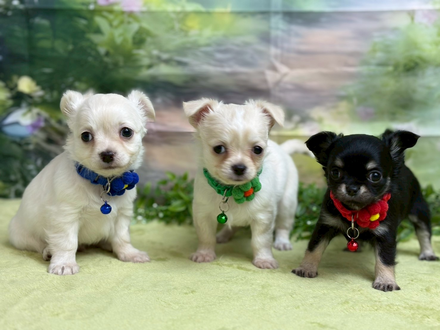 赤ちゃん写真3-3