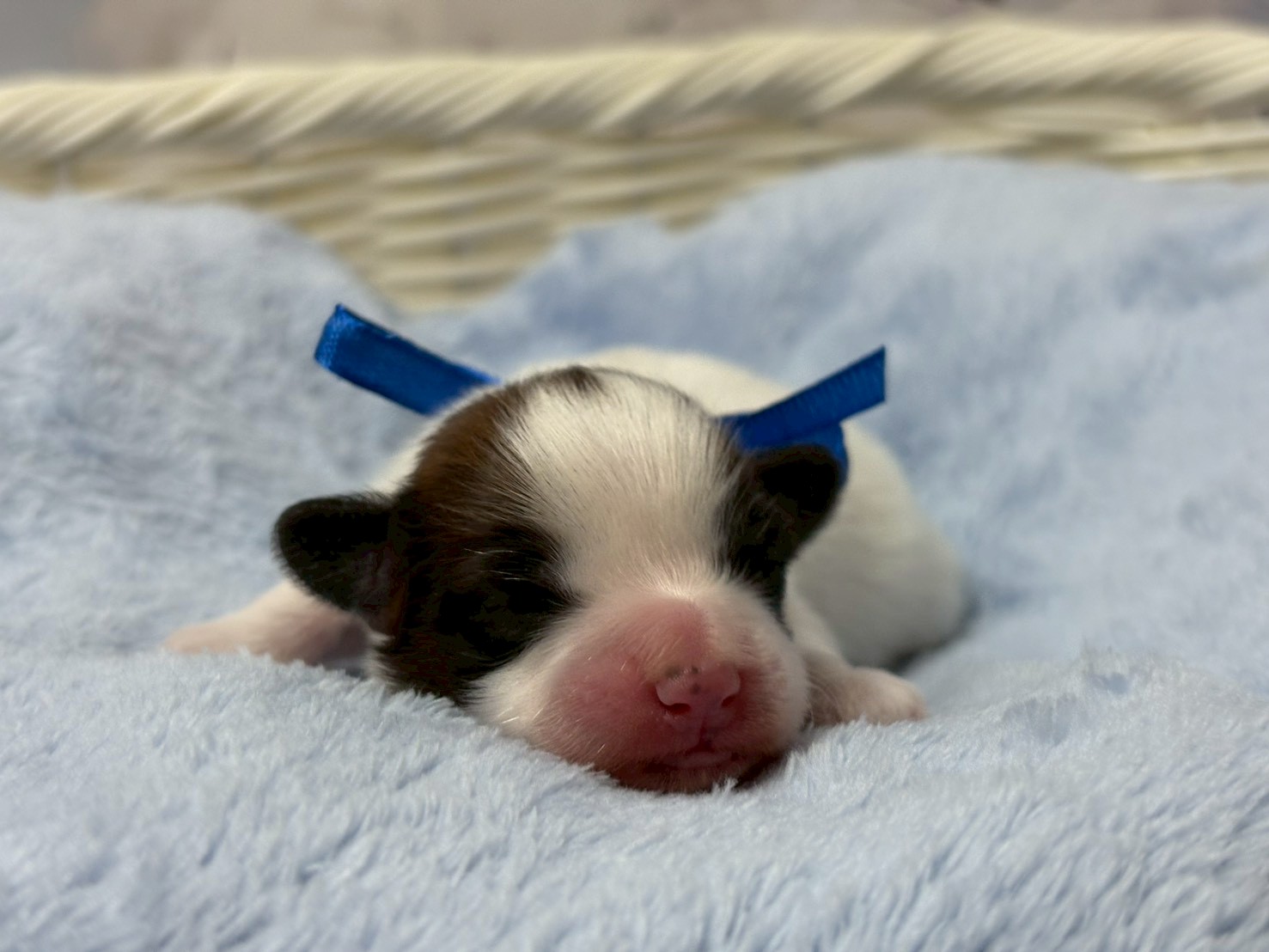 赤ちゃん写真1-1