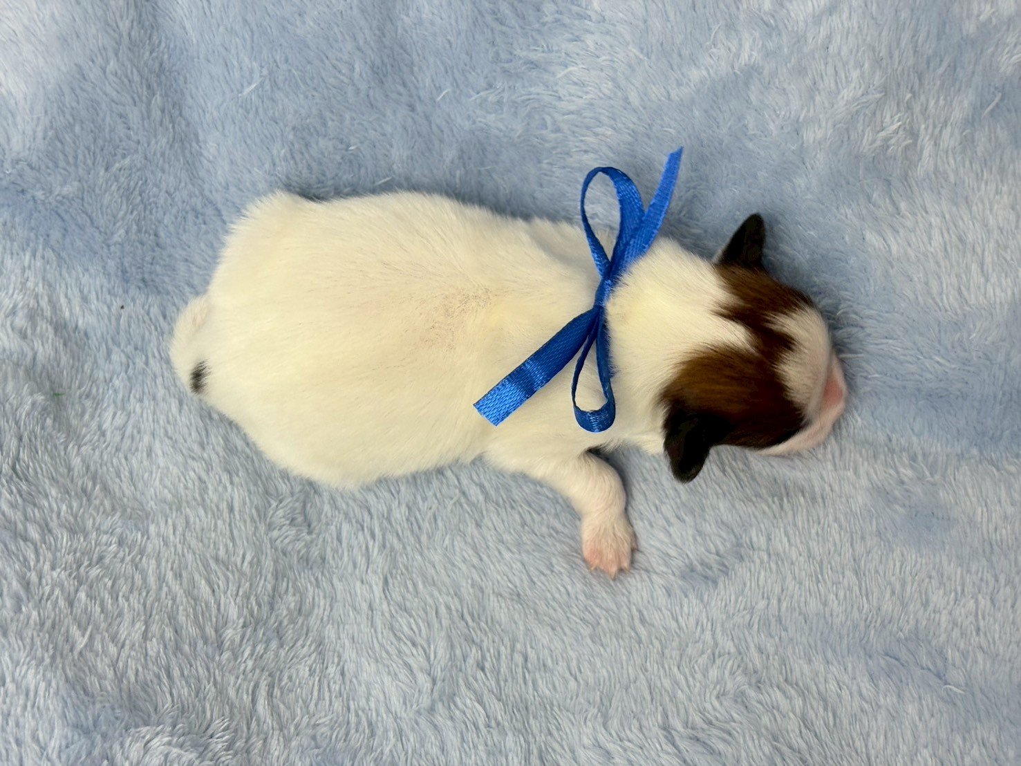 赤ちゃん写真1-3