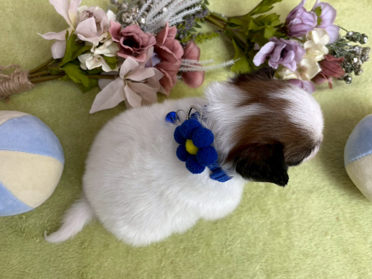 赤ちゃん写真2-3