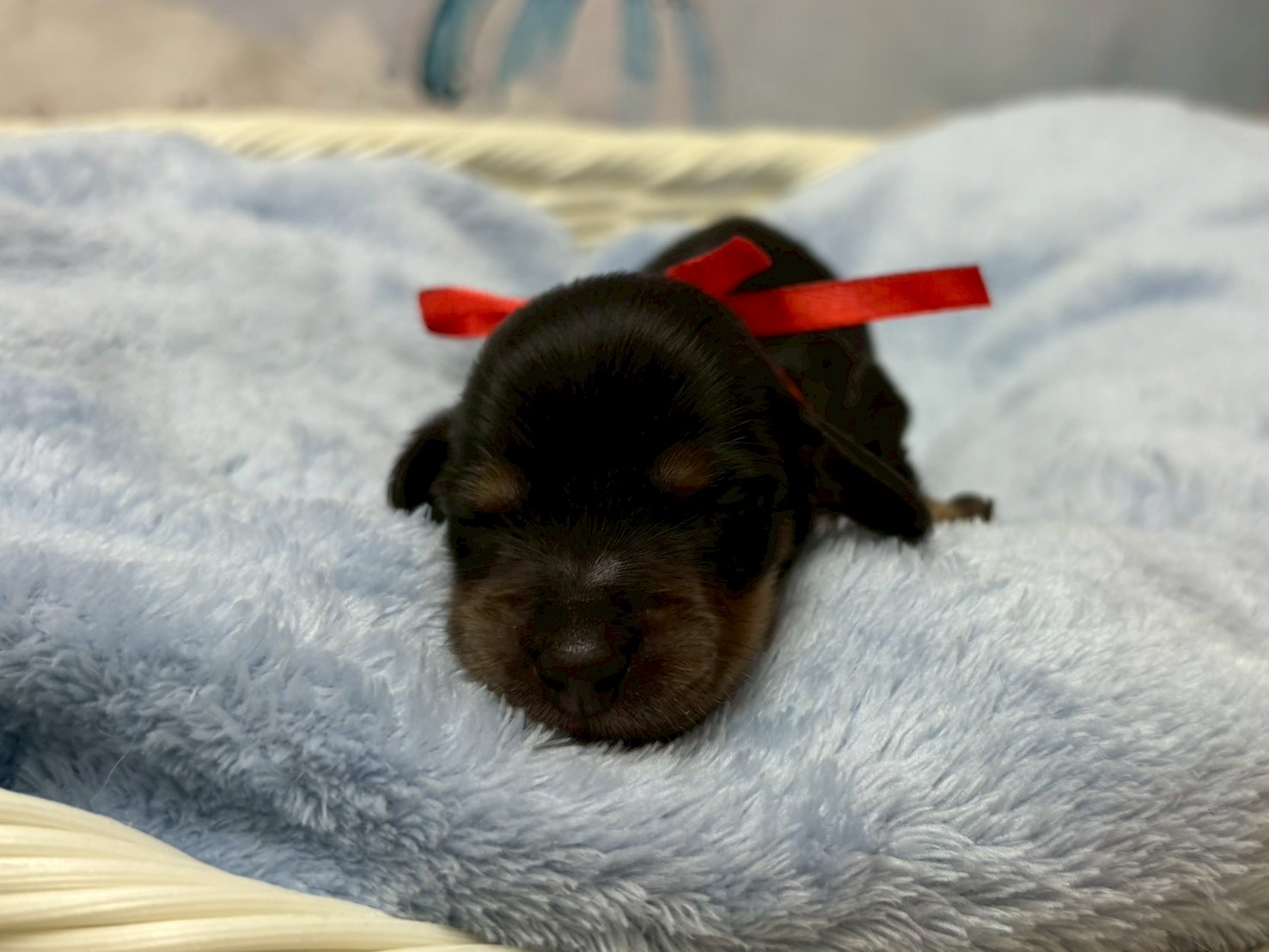 赤ちゃん写真1-1