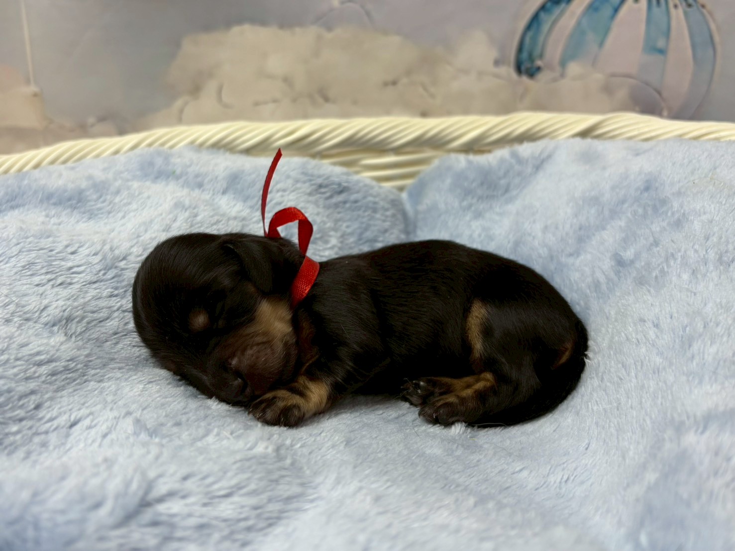 赤ちゃん写真1-2