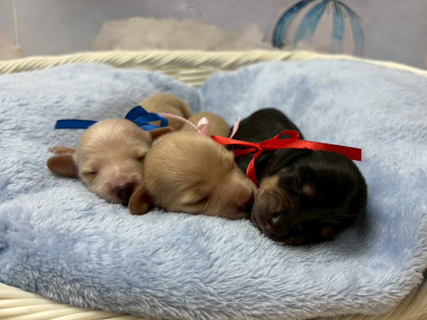 赤ちゃん写真1-3