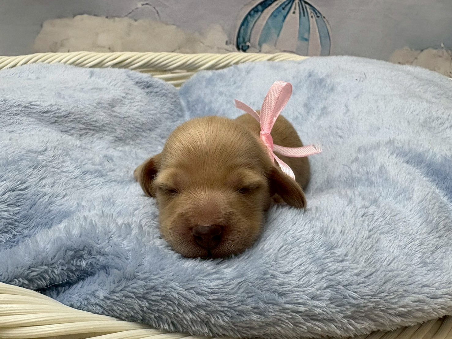 赤ちゃん写真1-1