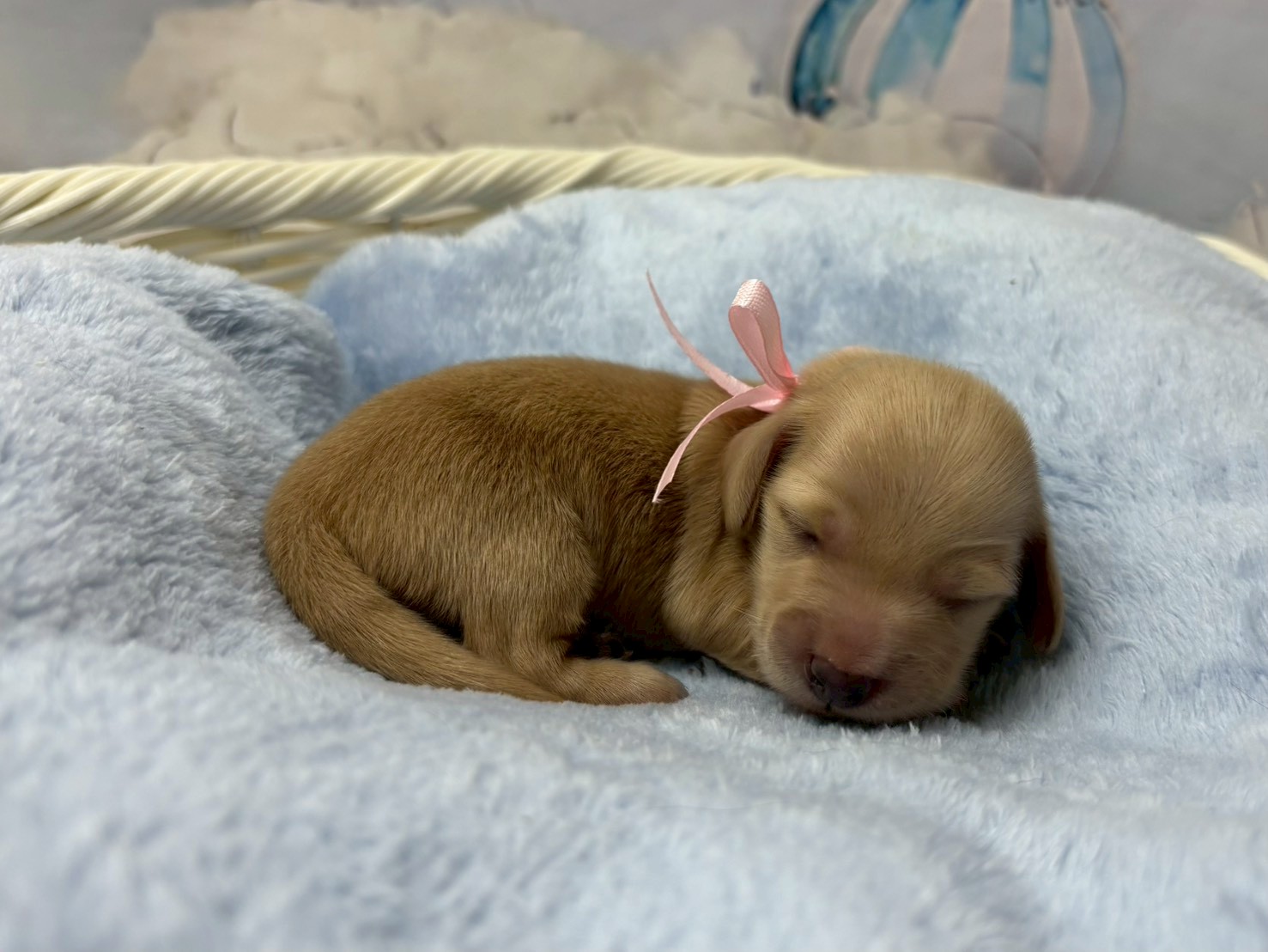 赤ちゃん写真1-2