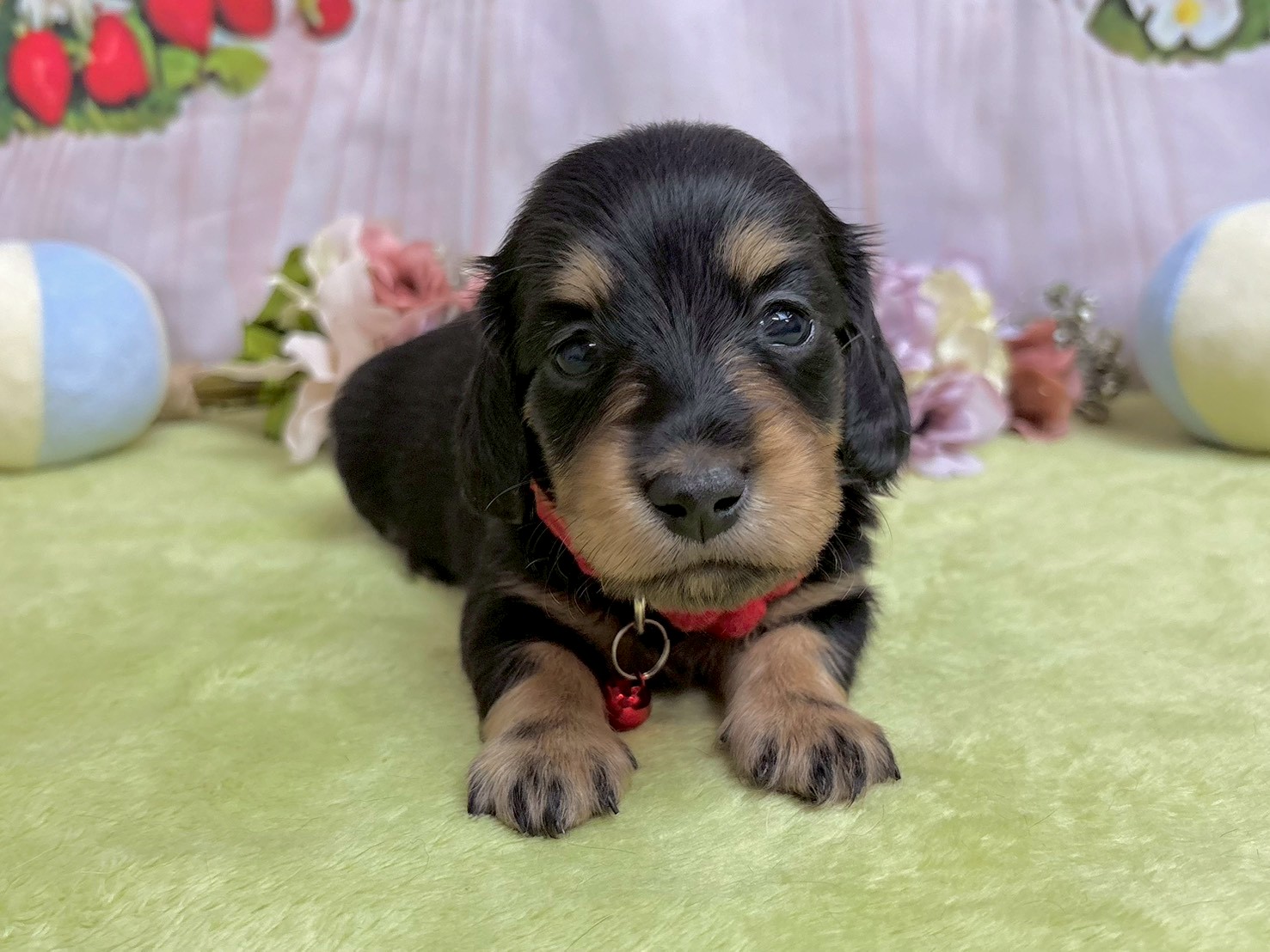 赤ちゃん写真2-1