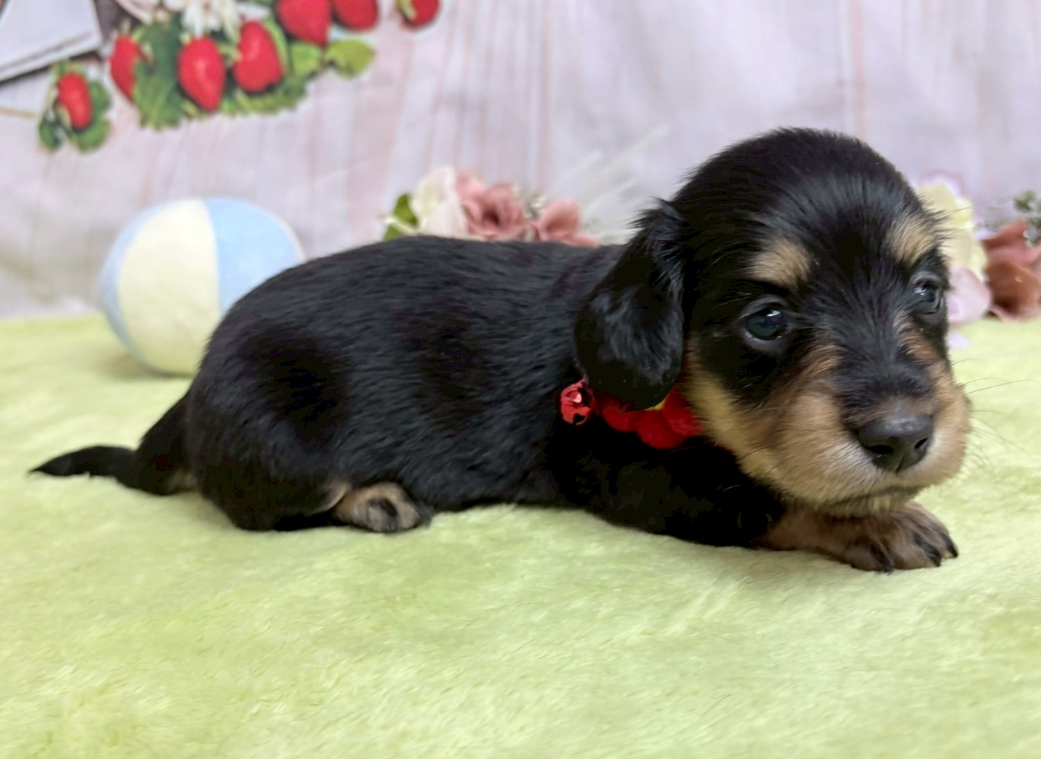 赤ちゃん写真2-2