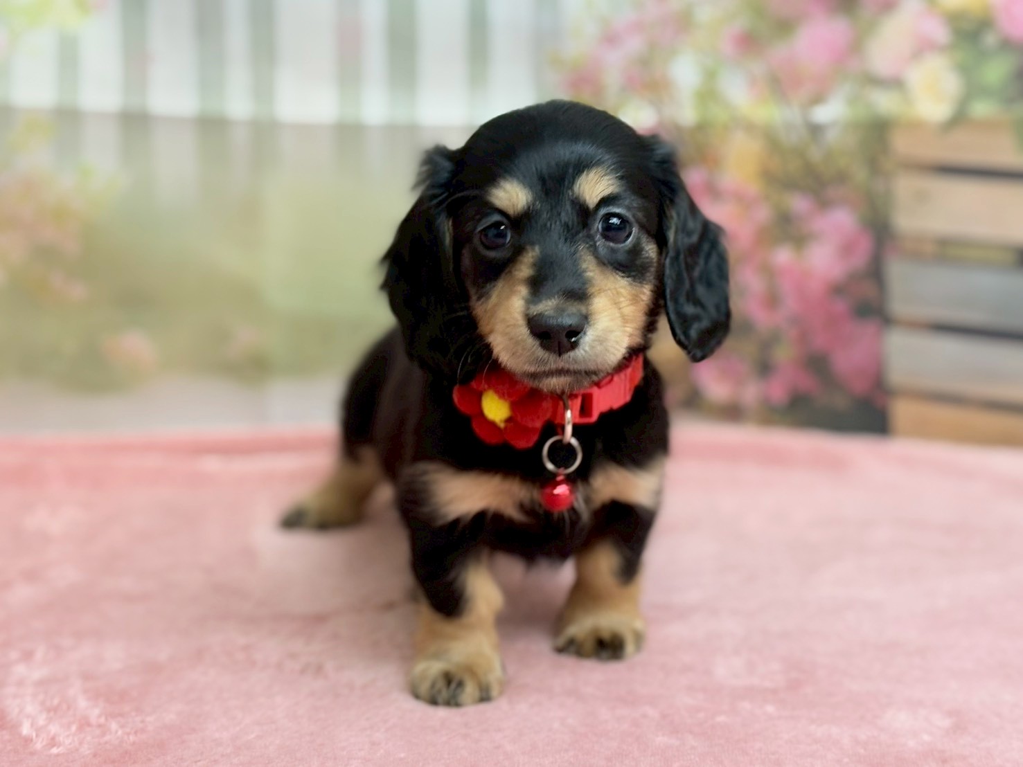 赤ちゃん写真3-1