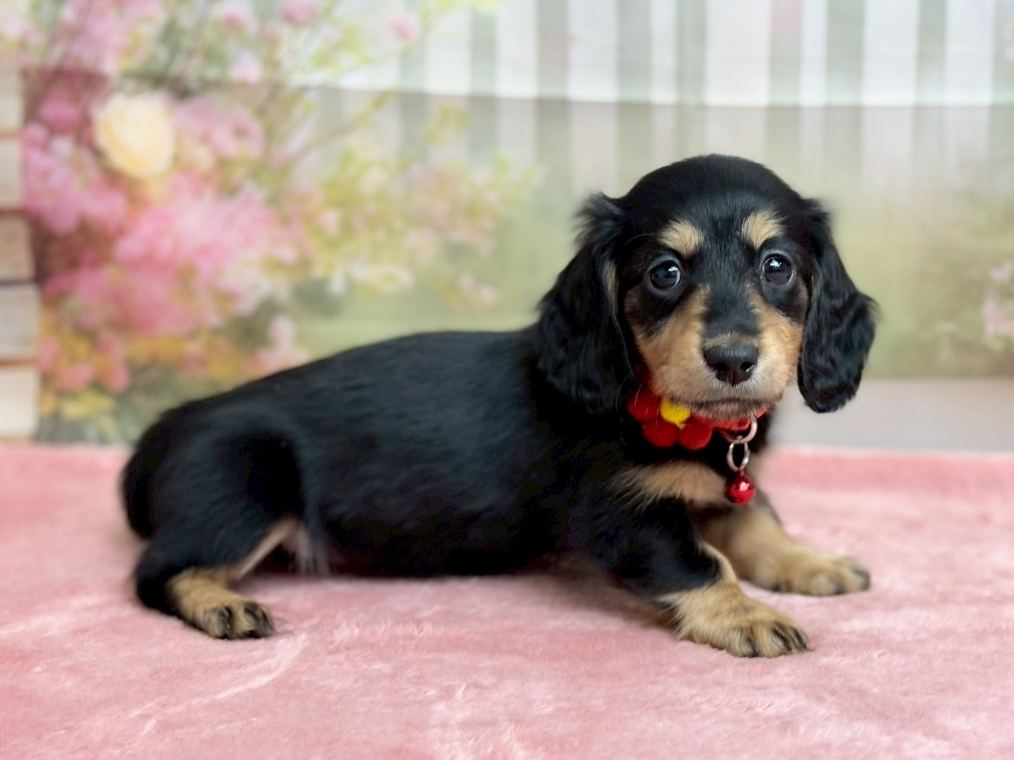 赤ちゃん写真3-2