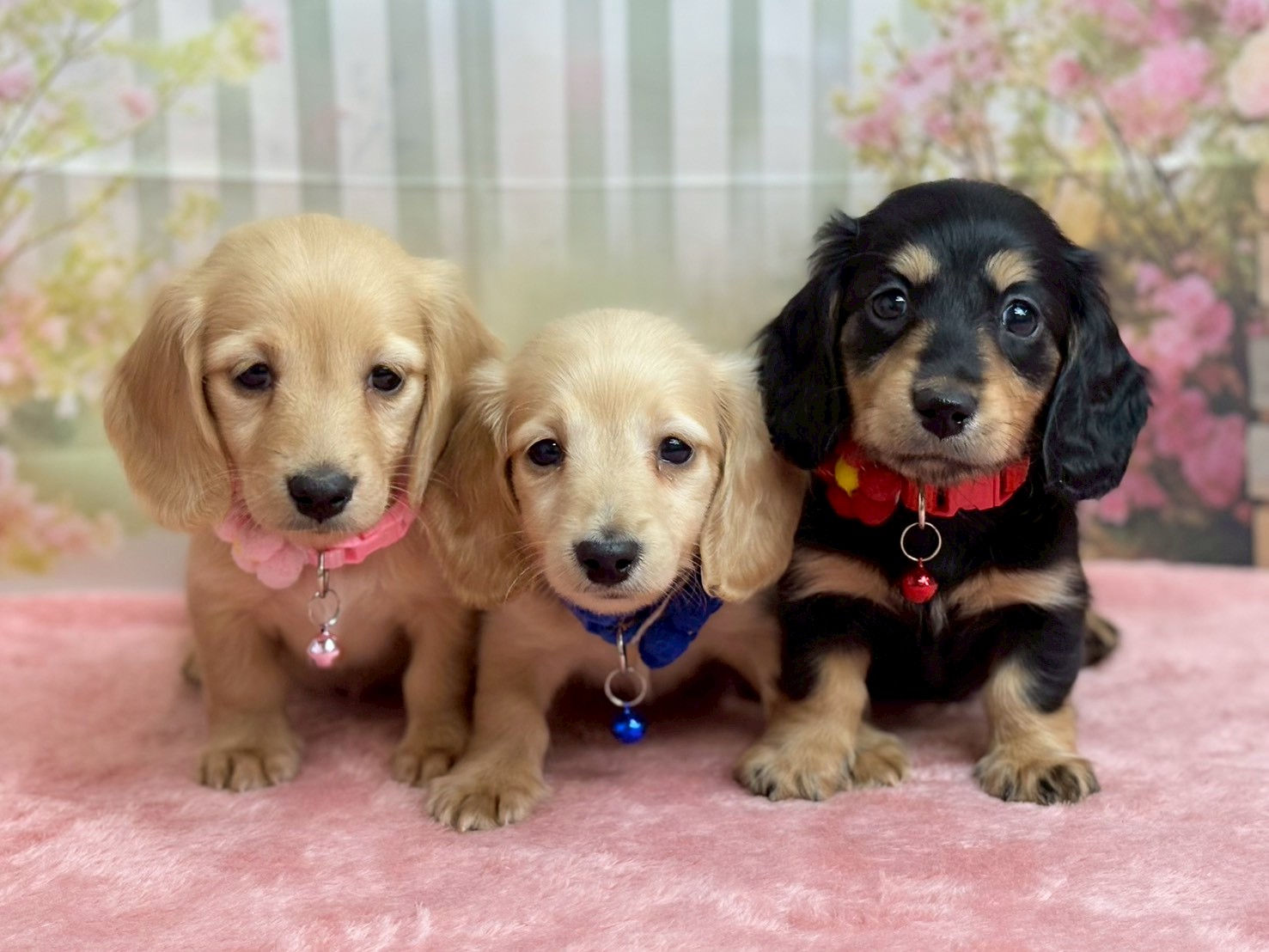 赤ちゃん写真3-3