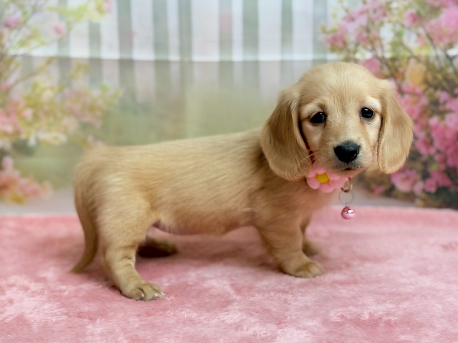 赤ちゃん写真3-2