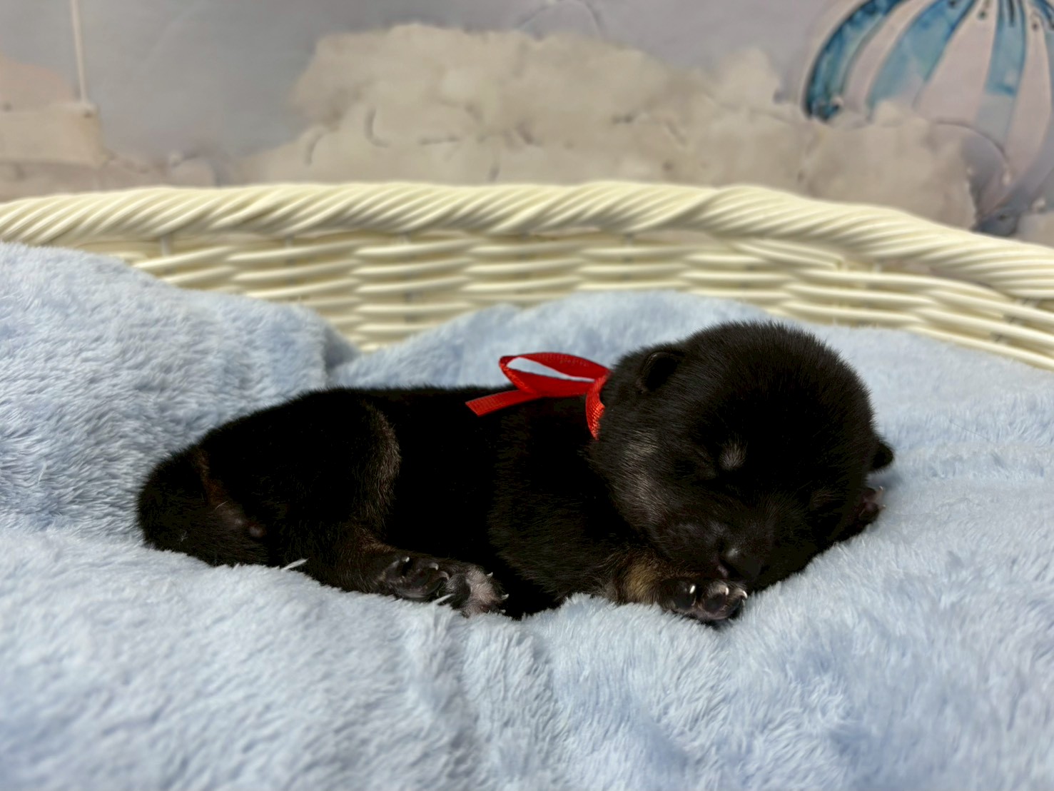 赤ちゃん写真1-2