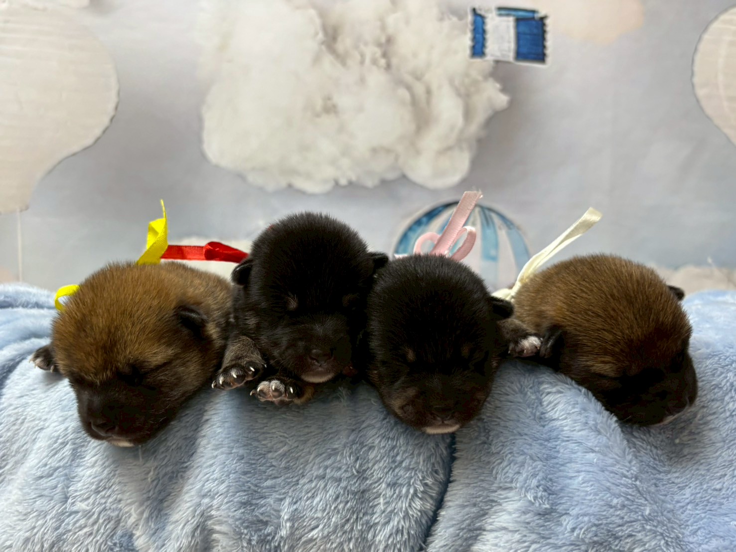 赤ちゃん写真1-3