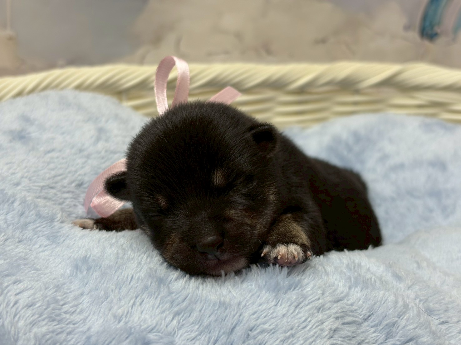 赤ちゃん写真1-1