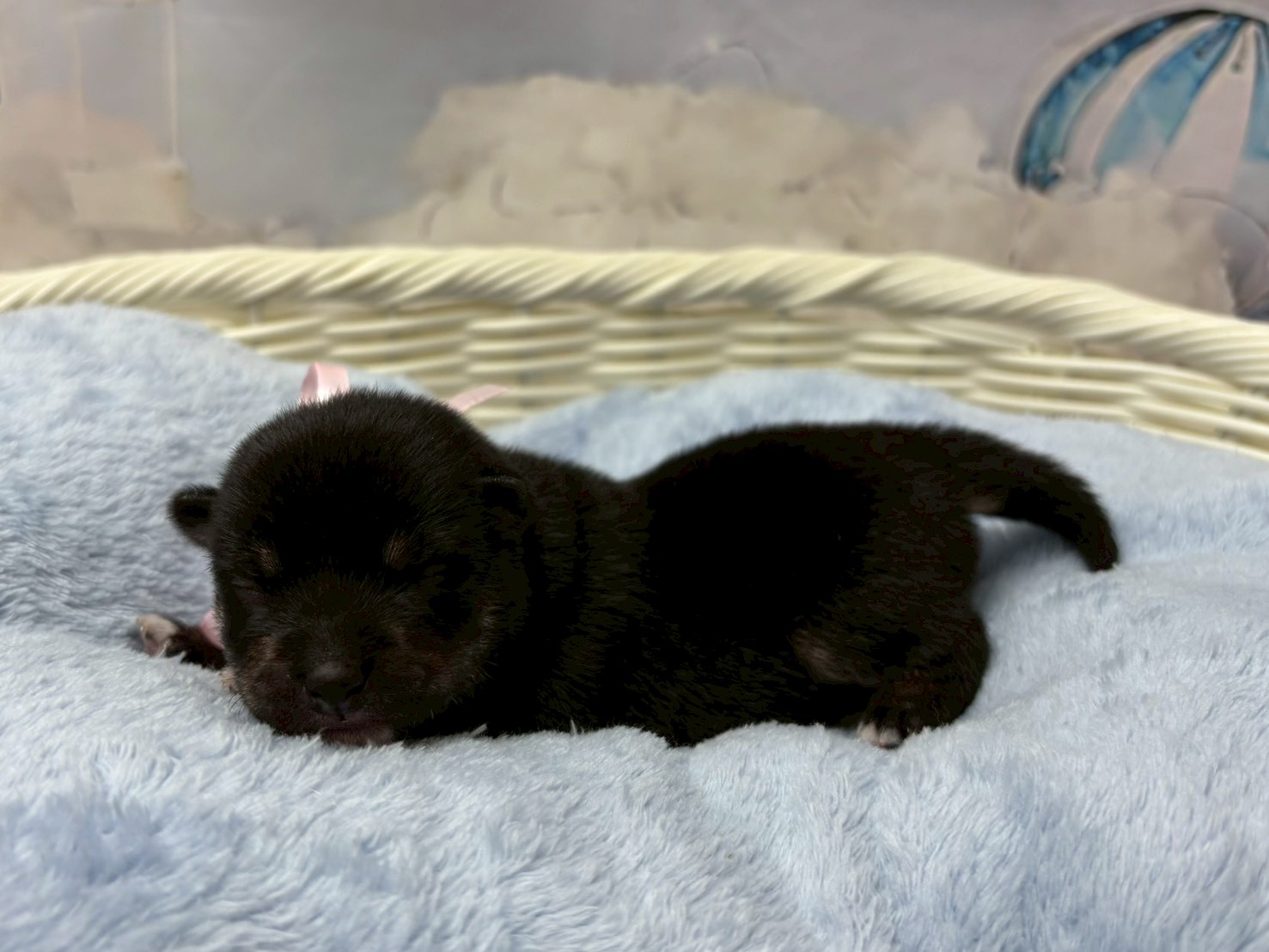 赤ちゃん写真1-2