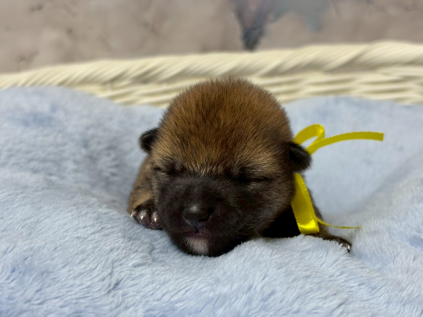 赤ちゃん写真1-1