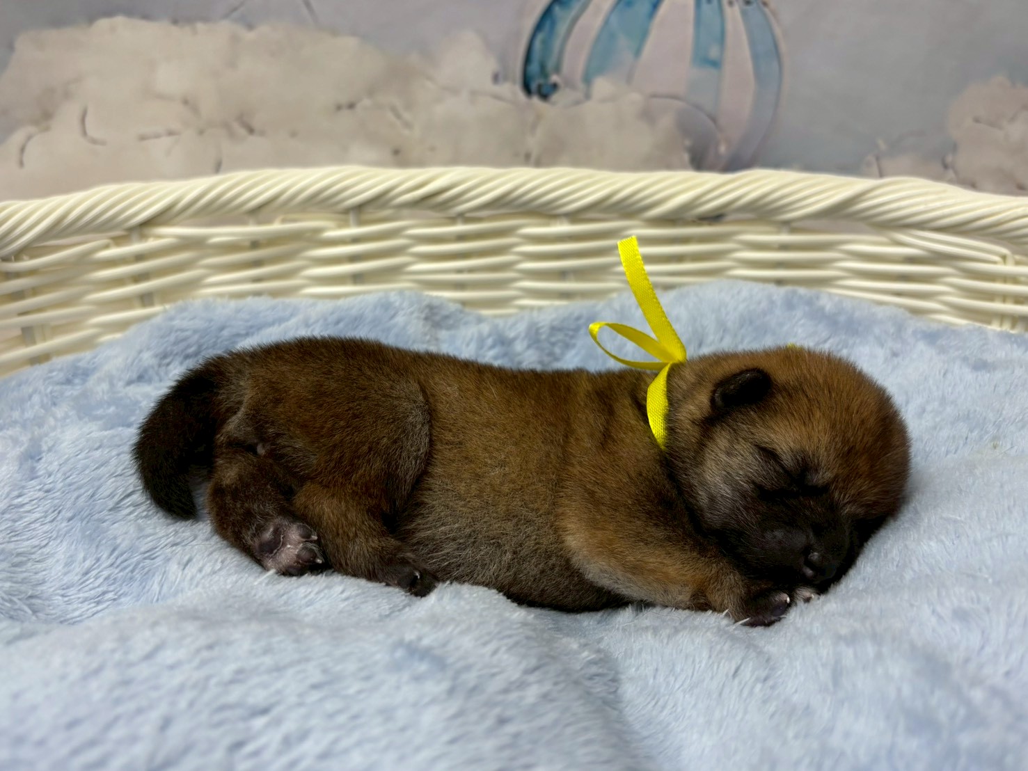 赤ちゃん写真1-2