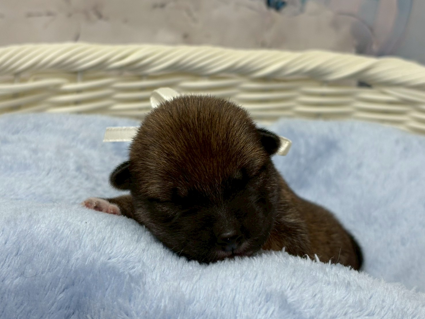 赤ちゃん写真1-1